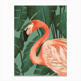 Flamingo Art Print Canvas Print