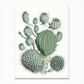 Parodia Cactus William Morris Inspired 2 Canvas Print