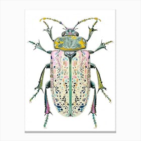 Colourful Insect Illustration Flea Beetle 20 Canvas Print