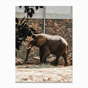 Ancient giant across the land. Canvas Print