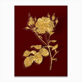 Vintage Pink Cumberland Rose Botanical in Gold on Red n.0421 Canvas Print