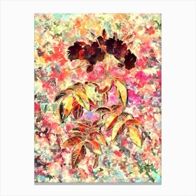 Impressionist Musk Rose Botanical Painting in Blush Pink and Gold 1 Canvas Print