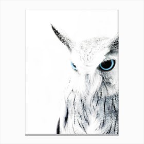 Owl II Canvas Print