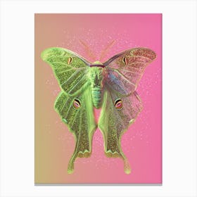 Glitter Moth Canvas Print