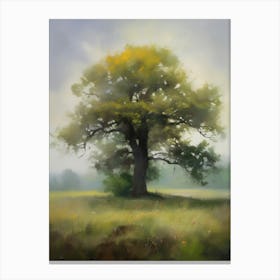 Oak tree, fine work of art, misty atmosphere, green meadow..20 Canvas Print