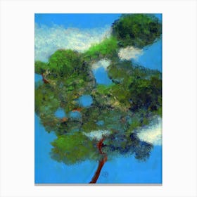 Lone Tree Canvas Print