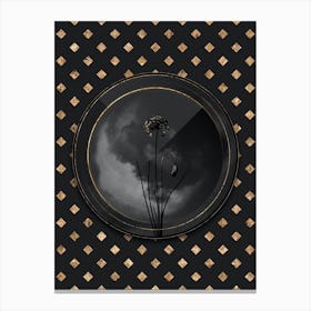 Shadowy Vintage Autumn Onion Botanical in Black and Gold n.0039 Canvas Print