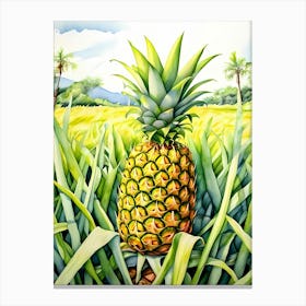 Pineapple In The Field Canvas Print