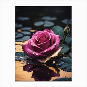 Heritage Rose, Love, Romance (53) Canvas Print