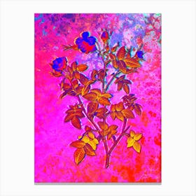 Pink Flowering Rosebush Botanical in Acid Neon Pink Green and Blue n.0240 Canvas Print
