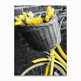 Yellow Tulips Canvas Print