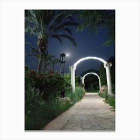 Moonlight In The Garden Canvas Print