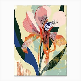 Colourful Flower Illustration Cyclamen 2 Canvas Print