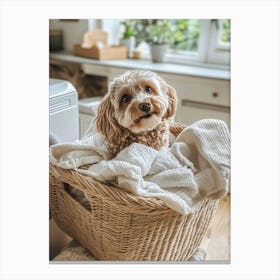 Cavapoo Hiding In The Laundry Canvas Print