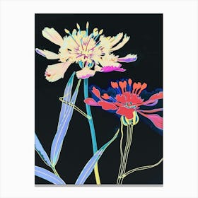 Neon Flowers On Black Scabiosa 1 Canvas Print