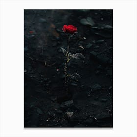 Dark Rose 175 Canvas Print