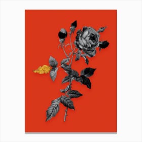 Vintage Provence Rose Black and White Gold Leaf Floral Art on Tomato Red n.0162 Canvas Print