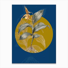 Vintage Botanical Yellow Lady's Slipper Orchid on Circle Yellow on Blue n.0264 Canvas Print