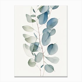 Eucalyptus Herb Minimalist Watercolour 3 Canvas Print