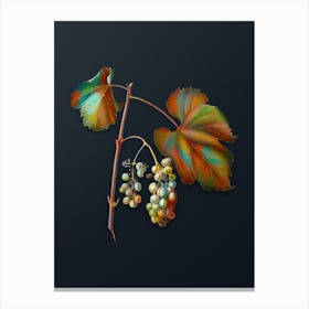 Vintage Friulli Grape Botanical Watercolor Illustration on Dark Teal Blue n.0136 Canvas Print