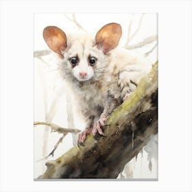 Light Watercolor Painting Of A Greater Glider 1 Canvas Print