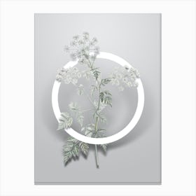 Vintage Hemlock Flowers Minimalist Flower Geometric Circle on Soft Gray Canvas Print
