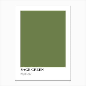 Sage Green Canvas Print