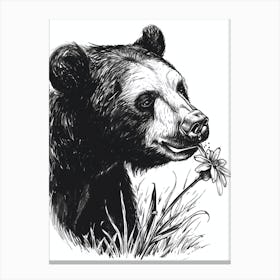 Malayan Sun Bear Sniffing A Flower Ink Illustration 2 Canvas Print