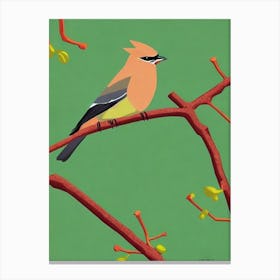 Cedar Waxwing 3 Midcentury Illustration Bird Canvas Print