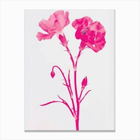 Hot Pink Carnations 2 Canvas Print