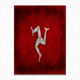 Isle Of Man Flag Texture Canvas Print