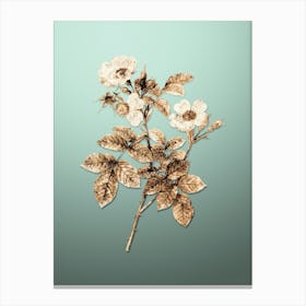 Gold Botanical Short Styled Field Rose on Mint Green n.4872 Canvas Print