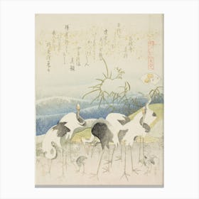 Herd Of Cranes Poster Print, Katsushika Hokusai Canvas Print
