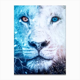 White Lion Blue And Orange Eyes Canvas Print
