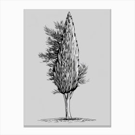 Cypress Tree Minimalistic Drawing 4 Canvas Print