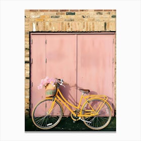 Bicycle In Front Of A Pink Door Canvas Print