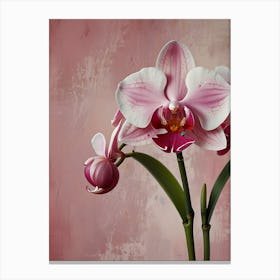 Orchids Canvas Print