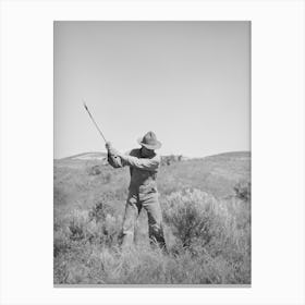 Newly Arrived Farmer Clearing Land Of Sage Brush, Vale Owyhee Irrigation Project, Malheur County, Oregon Canvas Print