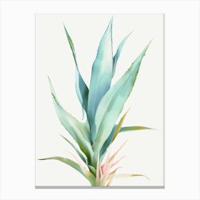 watercolor aloe vera Canvas Print