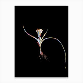 Stained Glass Ixia Recurva Mosaic Botanical Illustration on Black n.0235 Canvas Print