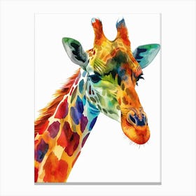 Giraffe Watercolour Face Portrait 1 Canvas Print