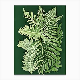 Southern Maidenhair Fern 2 Vintage Botanical Poster Canvas Print