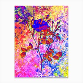 Anemone Flowered Sweetbriar Rose Botanical in Acid Neon Pink Green and Blue n.0011 Canvas Print