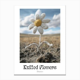Knitted Flowers Daisies 6 Canvas Print