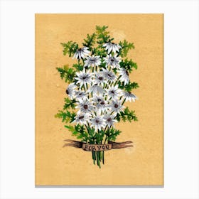 White Floral Bouquet 1 Canvas Print