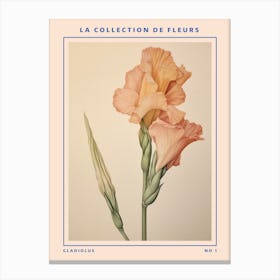 Gladiolus French Flower Botanical Poster Canvas Print
