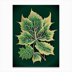 Siberian Ginseng Leaf Vintage Botanical 2 Canvas Print