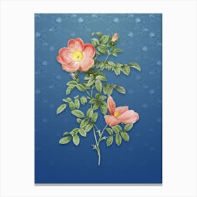 Vintage Red Sweetbriar Rose Botanical on Bahama Blue Pattern n.0158 Canvas Print