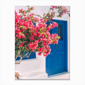 Blue Door And Flowers Canvas Print