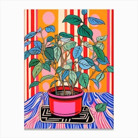 Pink And Red Plant Illustration Rubber Plant Tineke Ficus 3 Canvas Print